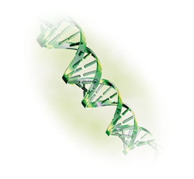 Primer Express™ 软件 v3.0.1 许可证